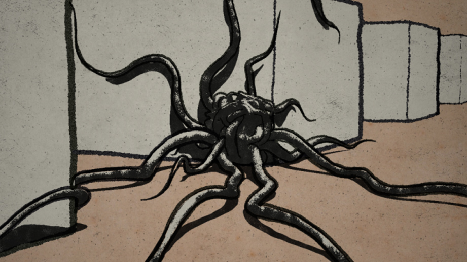 the notwist still 03